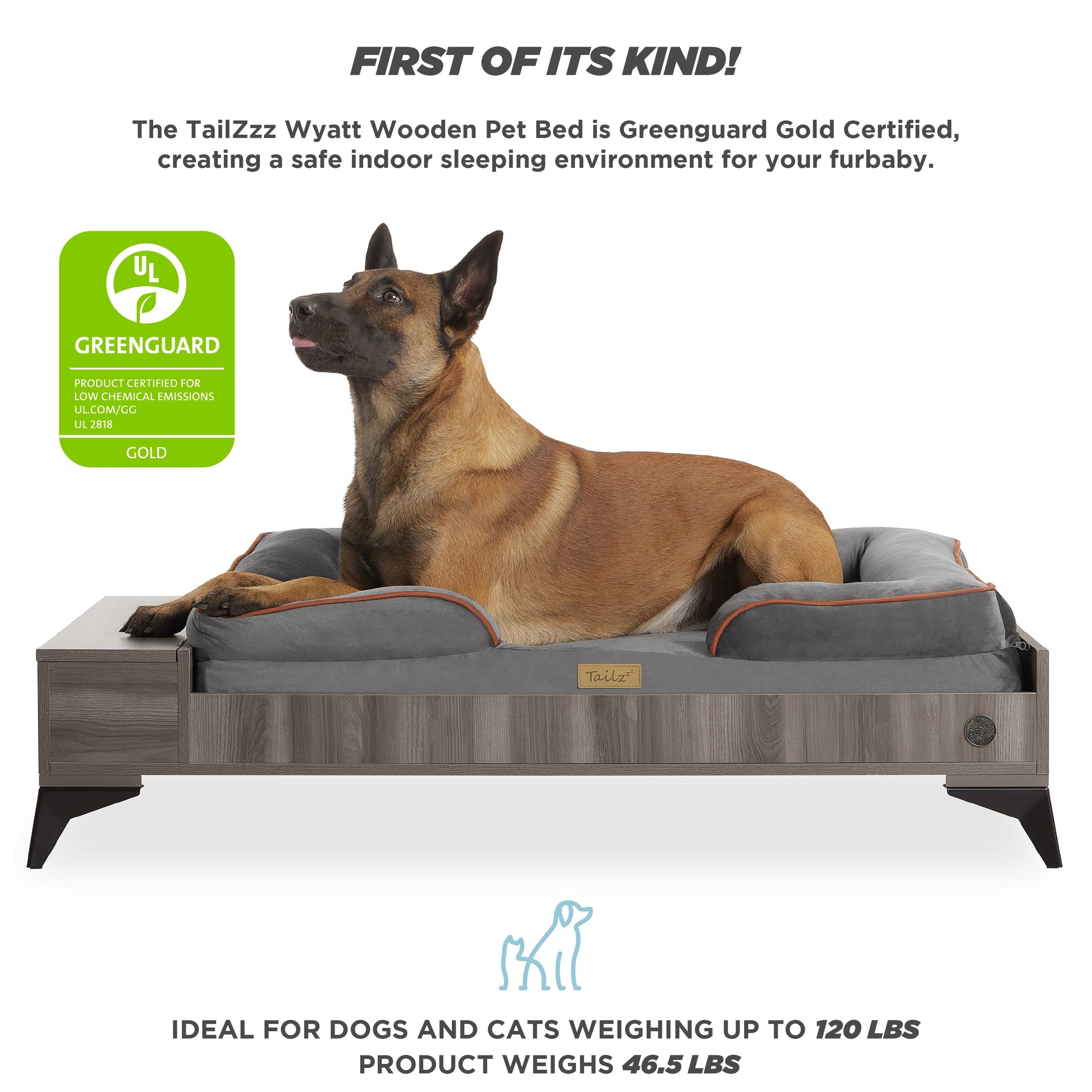 Wyatt Wooden Pet Bed with Mattress | Large to Extra Large Greenguard Gold Certified Dog Bed