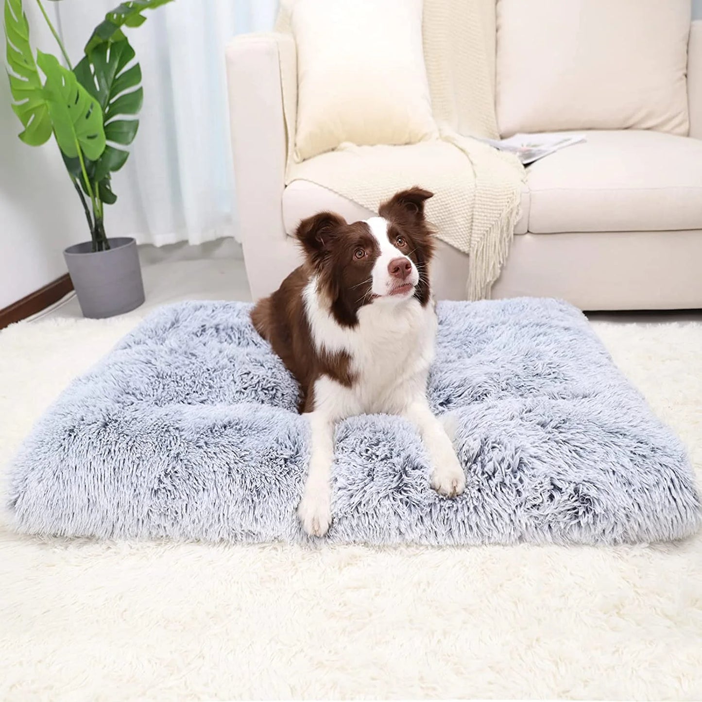 Large Dog Bed Washable Dog Mats with Anti-Slip Bottom for Large and Medium Dogs,41''X27''