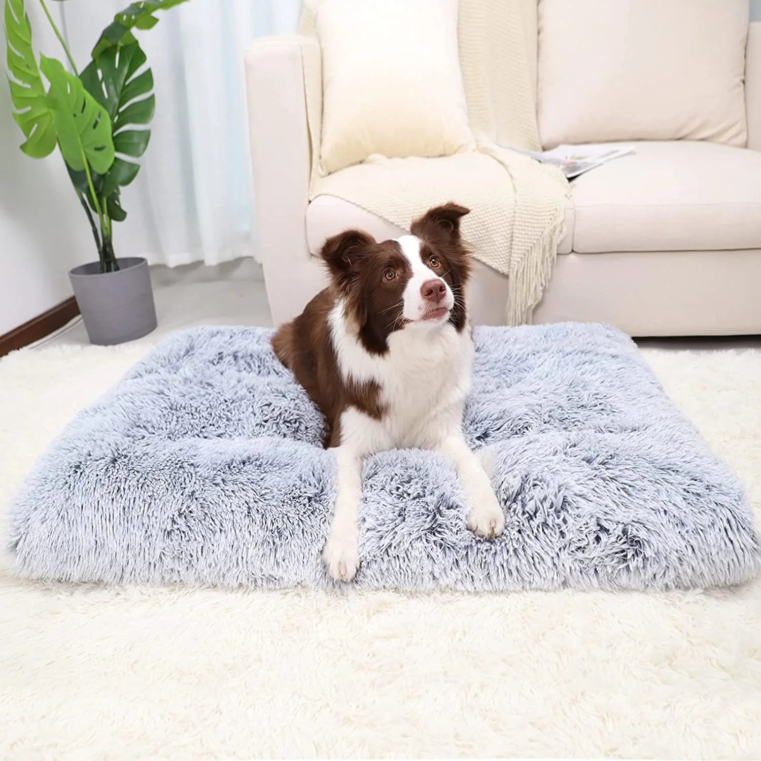 Large Dog Bed Washable Dog Mats with Anti-Slip Bottom for Large and Medium Dogs,41''X27''