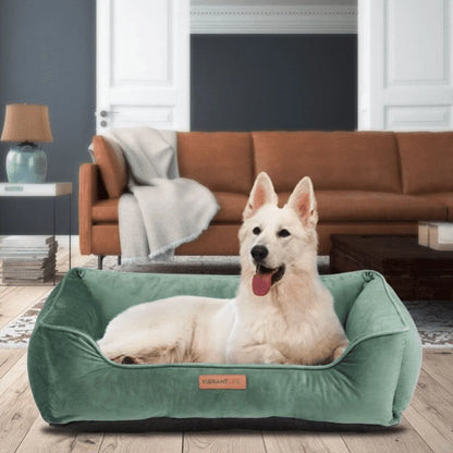 Large Faux Velvet Box Dog Bed, Green